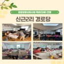 신근2리경로당 Daum카페