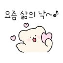 캉골롯데영등포 이미지