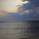 망상오토캠핑리조트 이미지