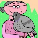 비둘기경로당 이미지