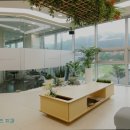 강남파인즈치과의원 이미지