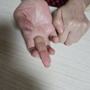 탈모앰플 추천 라시뎀 안티 헤어 풀 스칼프 앰플 소개