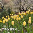 연희정보통신(주) | 봄나들이 갈만한곳 홍제폭포부터 연희숲속쉼터까지 (+ 튤립 개화 상황)