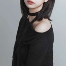 애견미장원 이미지