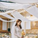 만발 | 벚꽃 만발한 근화원(공간한옥) 야외 예식 후기 / 2부식 포함