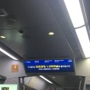꾸이닭야식 | 🇨🇳 Shanghai 1-2