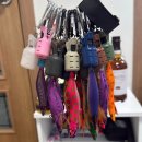 생명의 바다 1.2 | 🦑 [무늬오징어 금오도·거문도 시즌 후기(2025)]