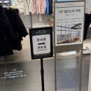 주식회사 포디포디 | 괴담출근) 팝업이 철수해도 후기를 써야 하는구나