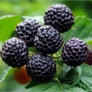 썬 맞춤운동센터 이미지