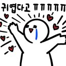 조아펫살롱 이미지