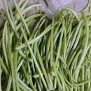 진가네농장 이미지