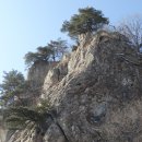 신우태양광발전소 이미지