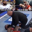 세후도, 게이블 스티브슨에 쓴소리 “WWE·NFL 모두 실패… 스스로 돌아봐야” 이미지