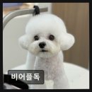 비어플독