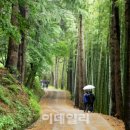 바람소리새소리 네이버블로그