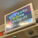 봉황대잡화점 | 피자, 초량1941, 할타보카 젤라또, 수경사, 황리단길 나들이, 써니네 잡화점, 서점 어서어서, 황남타코파파