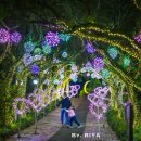 제주허브동산 | 제주도 밤에 가볼만한곳 제주 표선 허브동산