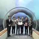 아라마루 데일리한국