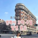 [공지] 상하이 자유여행 일정 지도 공유 | 상하이 3박 4일 필수로 가야할 곳 고덕지도 주소 총정리 1일차