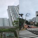 금빛초등길 이미지