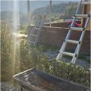 개천안주말농장펜션 이미지