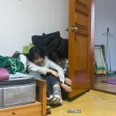 밥이랑술친구 | "26년 2월의 일기" + 등산 동아리 모집해요.(회원조건=주로 인생이 산으로 가는 사람들)