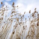 해강냉장 이미지