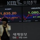 하늘하개 이미지