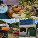 서부차유리 | 경기서부가볼만한곳 시흥근교수목원 시흥산골수목원