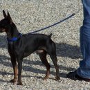 미니어처 우리집 이미지