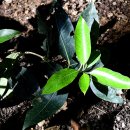 스테이오 이미지