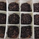 벤티프레소가산아이비밸리점