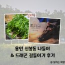 정평천 | 용인 수지구 신봉동 나들이, 정평천 산책 (feat. 광교갤러리아CGV, 드래곤길들이기실사판쿠키, 샤브나리)