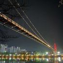 강원특별자치도청어린이집 | [춘천 벚꽃 명소] 4월에 꼭 가봐야하는 벚꽃 명소 추천