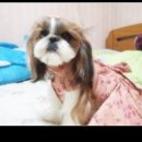 비마인/메이드바이핸드/해피짱구 원피스 판매합니다 이미지