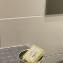 일출스테이 이미지