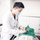 서초치과기공소 이미지