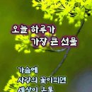 선물같은 하루 Daum카페