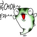 우리복어 이미지