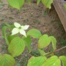 파란농장 이미지