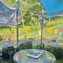 애견명가 이미지