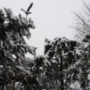 광진구청 이미지