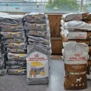 로얄코리아 이미지