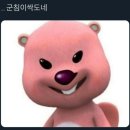 풍성양