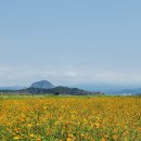 제주 올레길 10-1코스 이미지