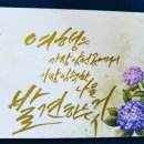 명인방 이미지