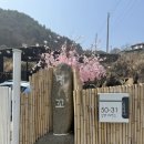 겨우리애견 | [경남/남해]오션뷰 바베큐,스파가능 숙소 ‘델꼬펜션’