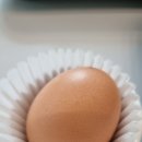 마곡나루역 프레퍼스 다이어트 푸드: 치킨 & 비프 플레이트 후기