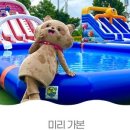 구리한강시민공원 어린이물놀이장 이미지