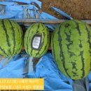 두화농장 이미지